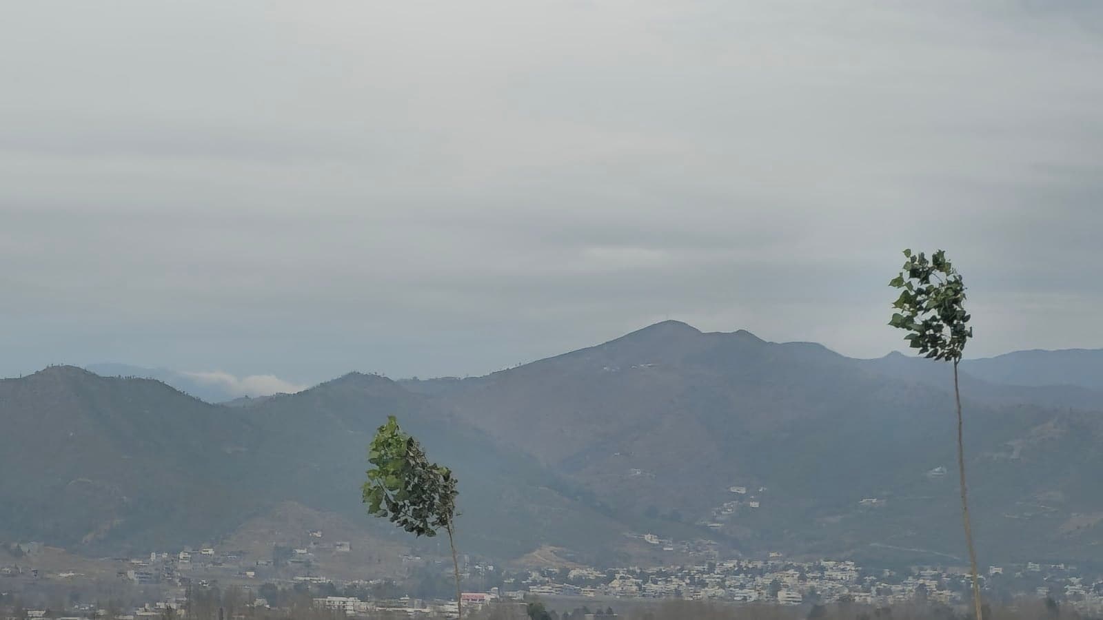 Fizagat photo 2