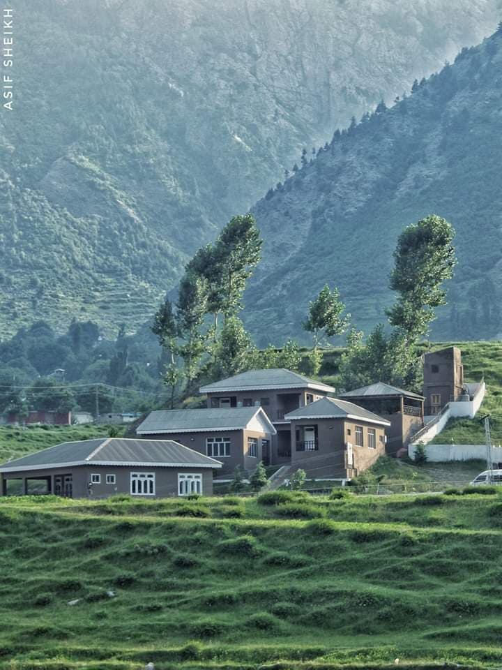 Forest Valley cottages in upper Swat
