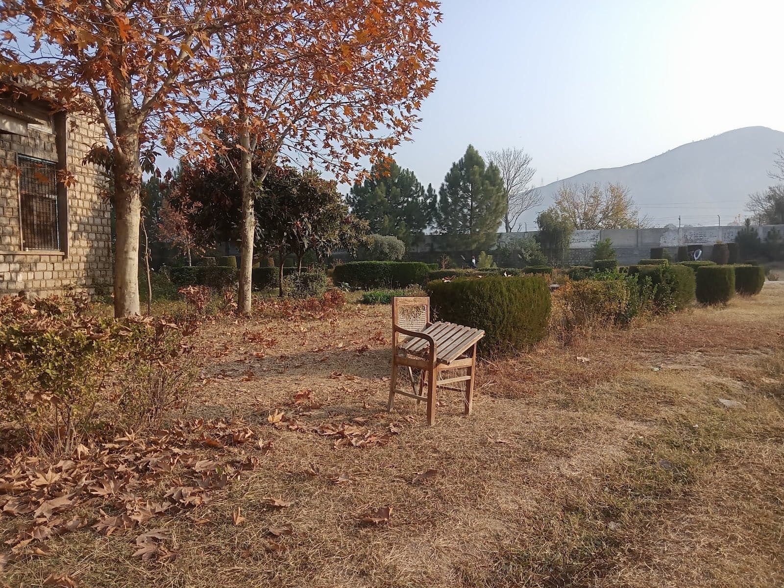 Govt Degree College photo 5