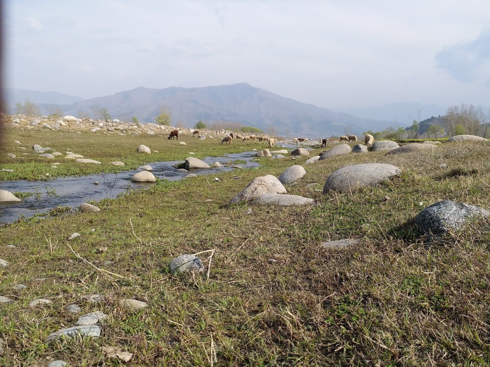 Harnol Khwar photo 2