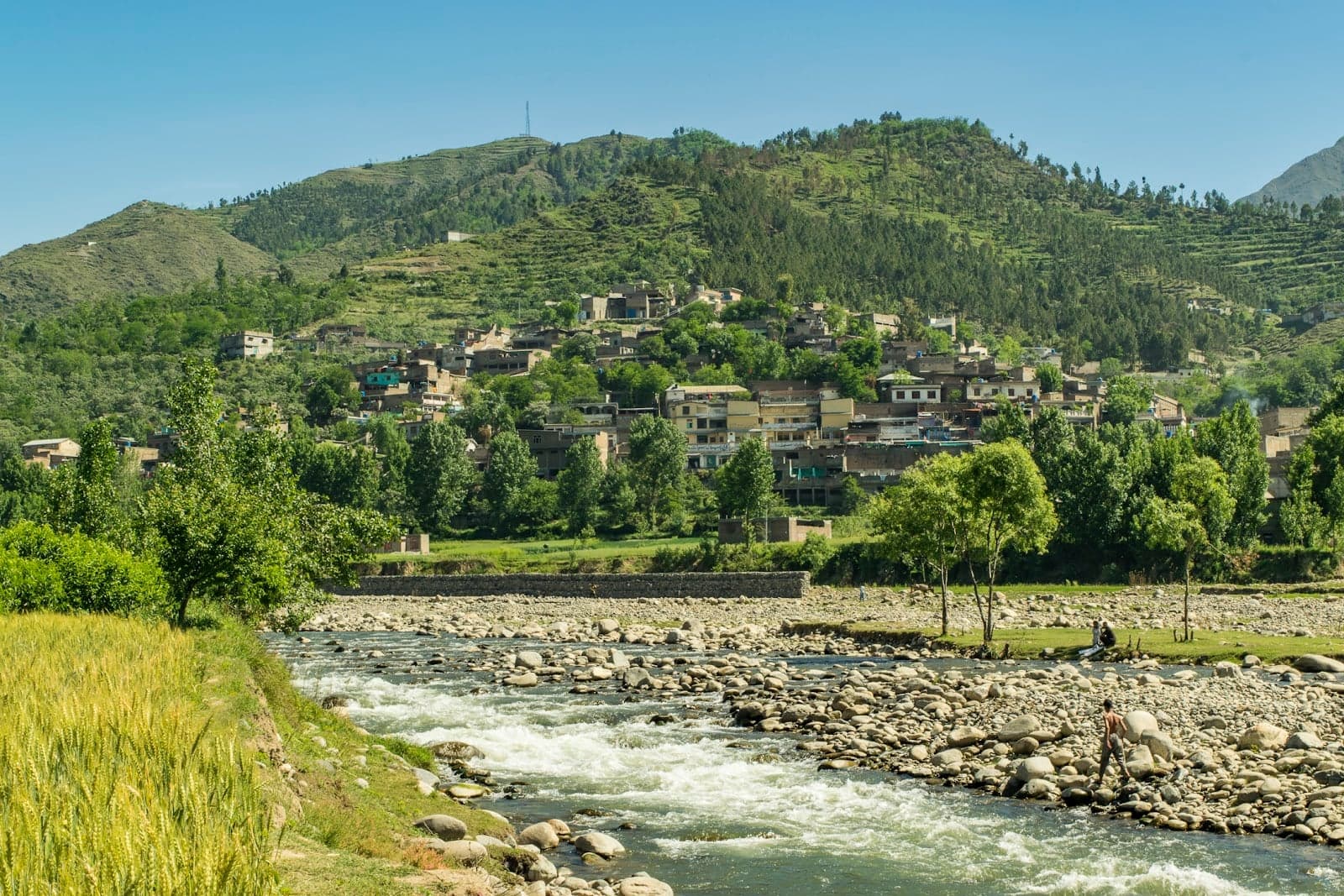 Harnol Khwar photo 4