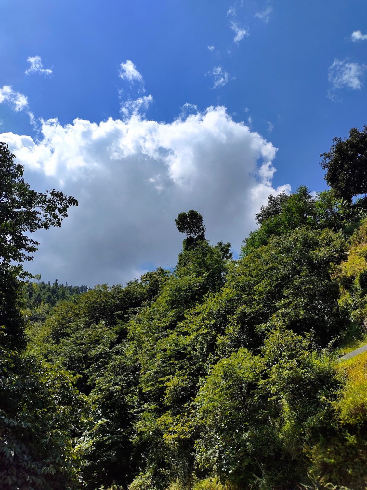 Miandam photo 5