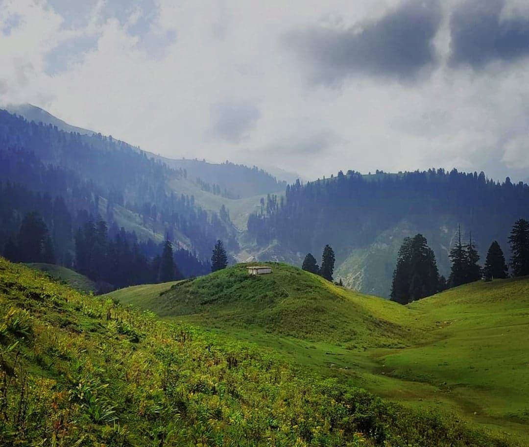 Palanchai Meadows