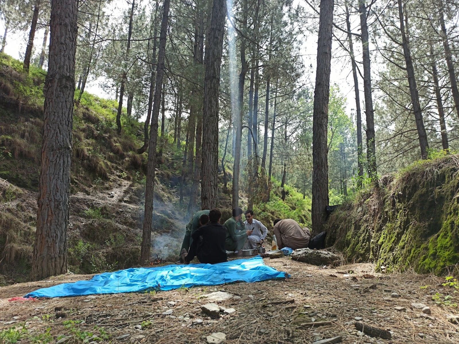 plandra gari kabal photo 5
