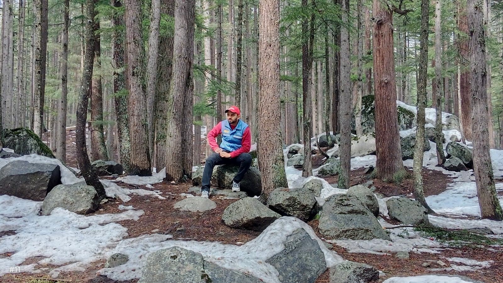 Ushu Forest
