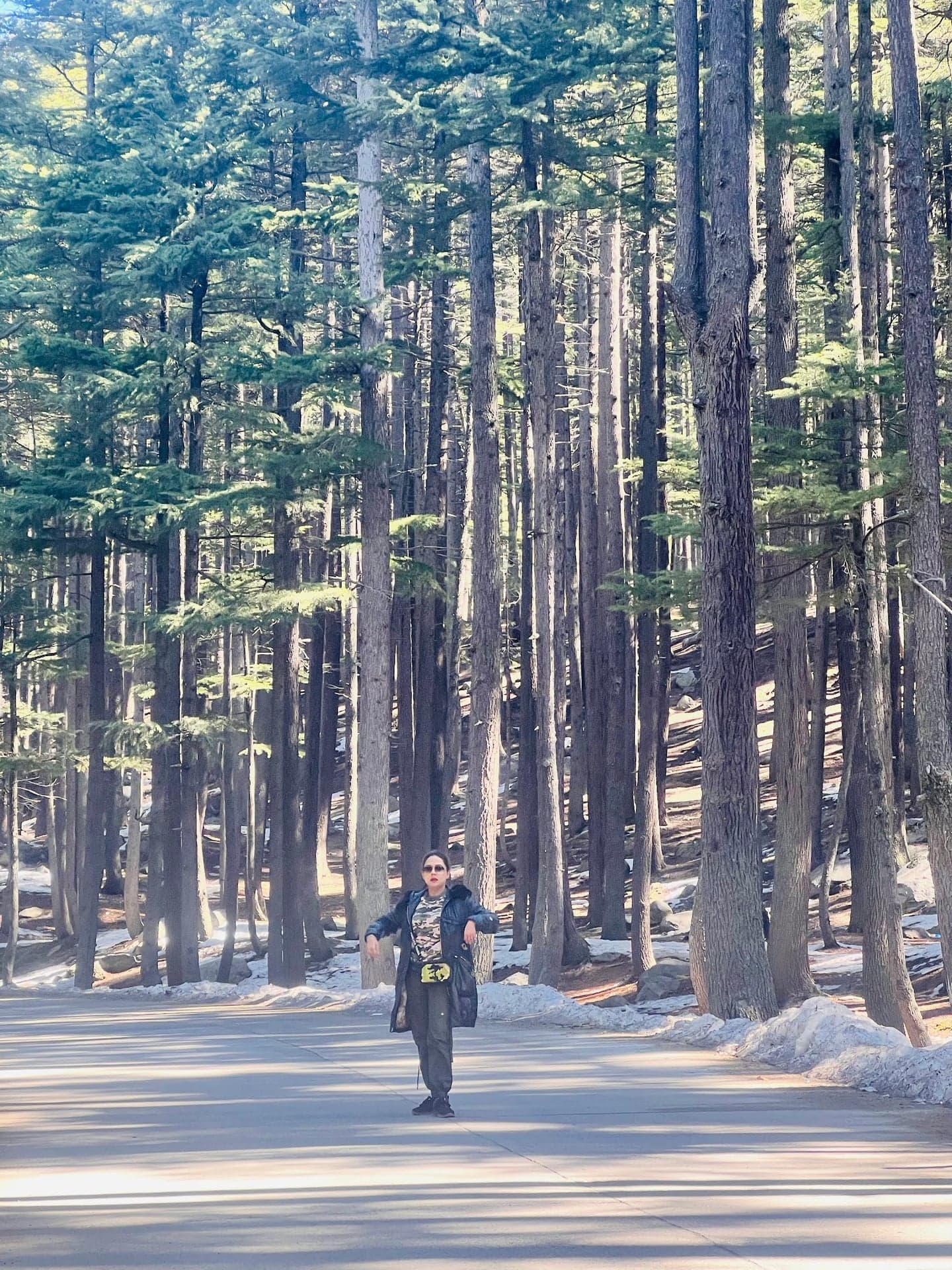 Ushu Forest photo 5