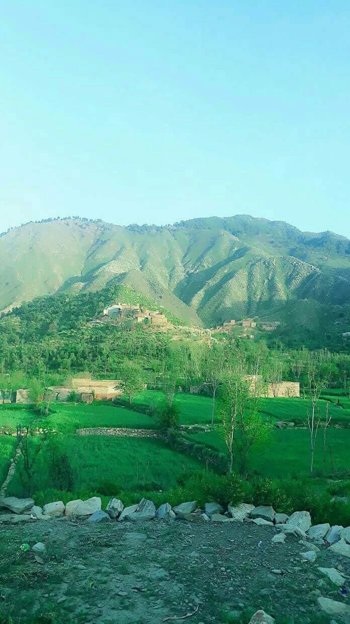 Zafar Park photo 5