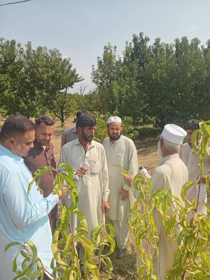 Agriculture Research Institute Mingora Swat photo 3