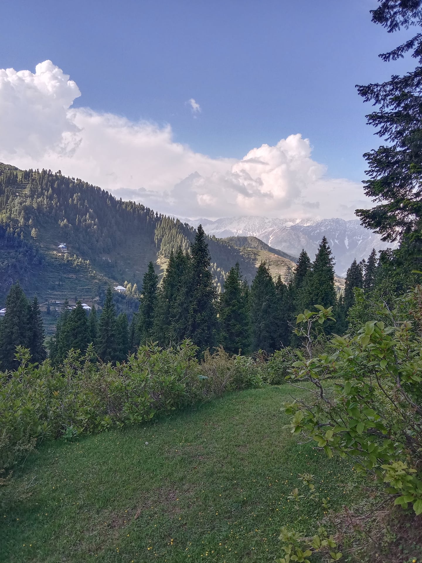 Dasht-e-Laila دشتِ لیلہ photo 4