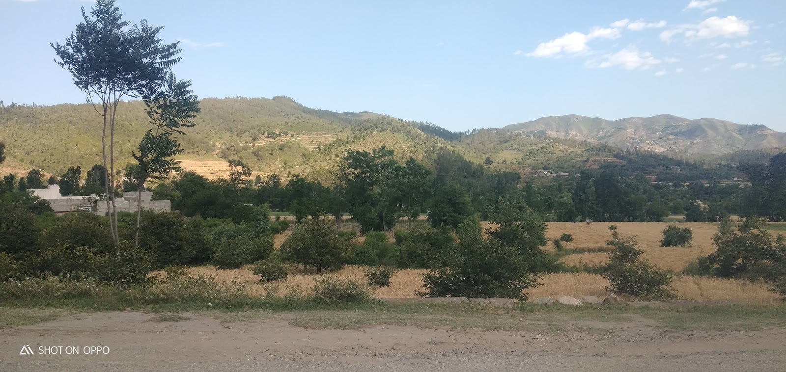 Dir Museum Chakdara photo 4