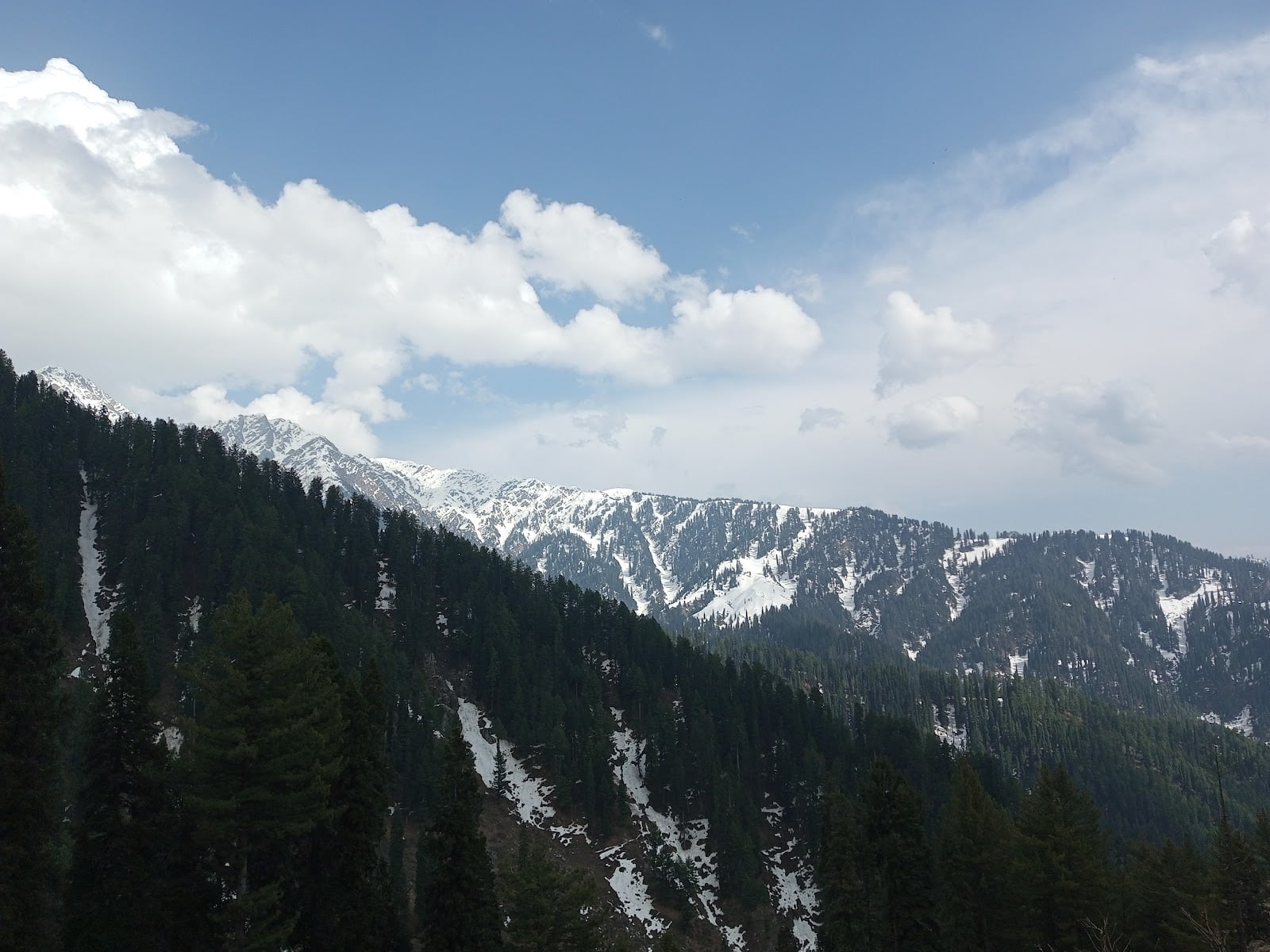 Gabeen Jabba photo 5