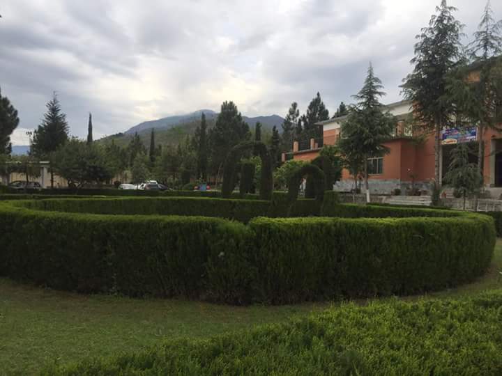 Government College of Management Sciences Sangota Swat