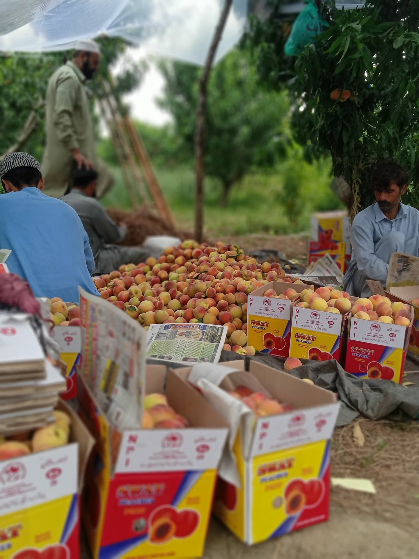 Kalakot Super Mart
