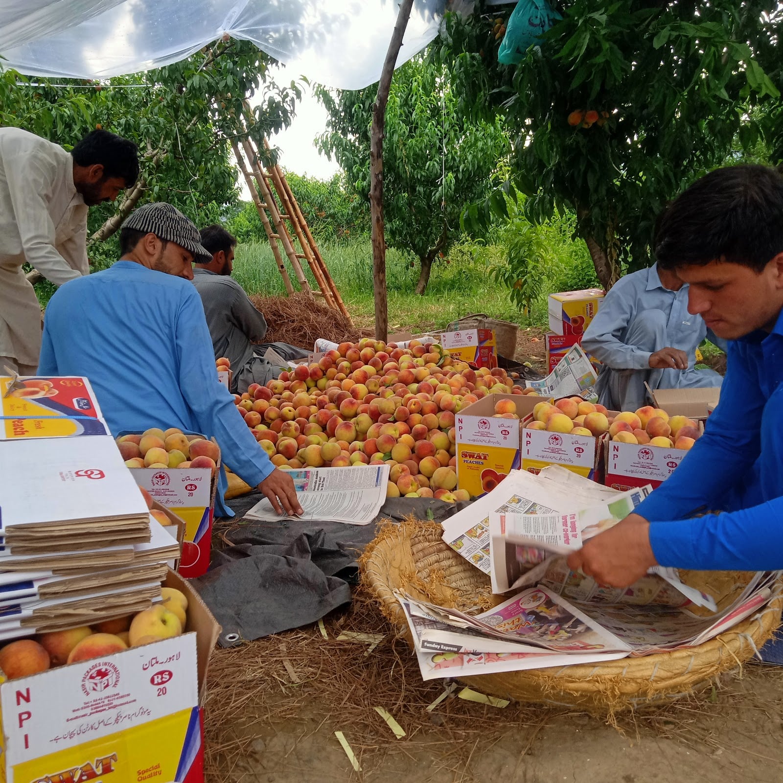 Kalakot Super Mart photo 2