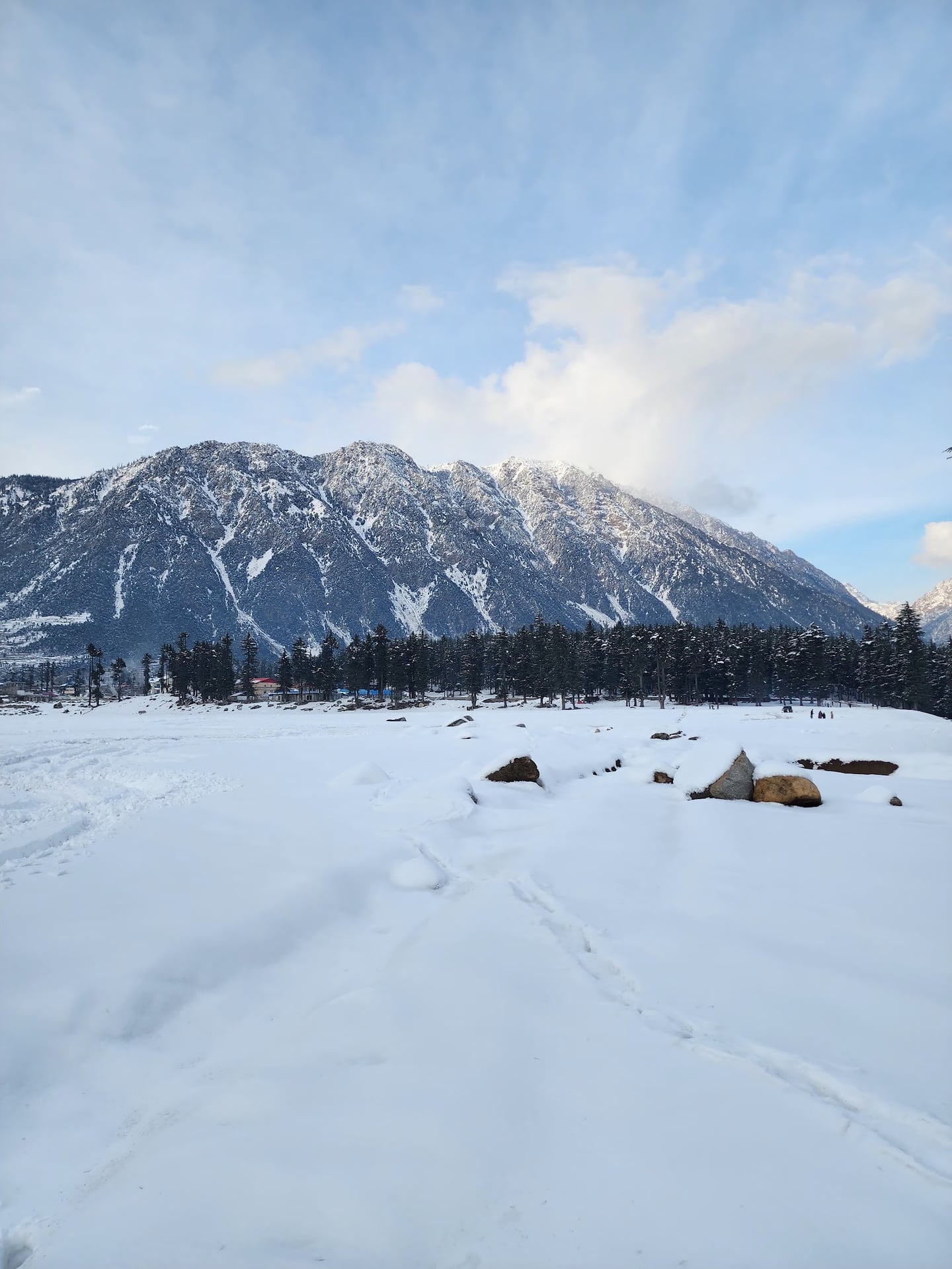 Kalam Forest Plain photo 4
