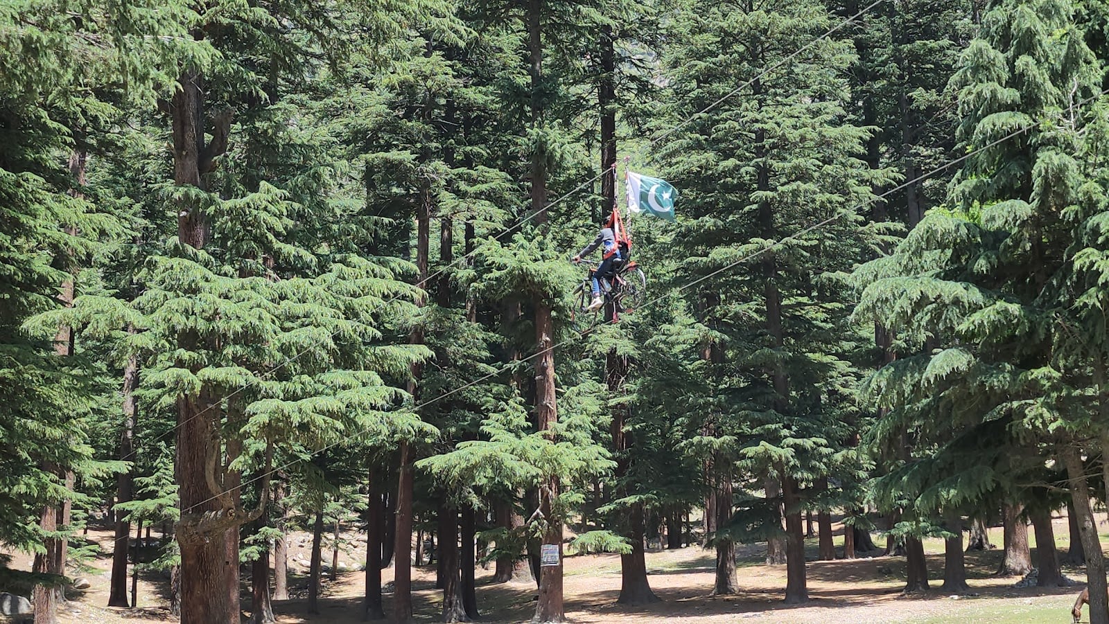Kalam Forest Playground..Usho Forest Playground photo 2
