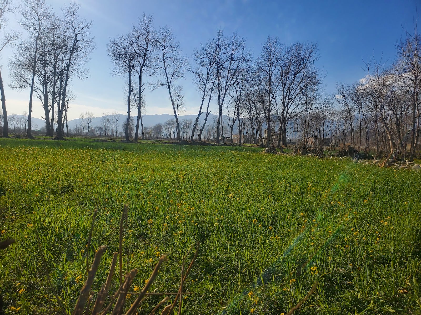 Mingora City