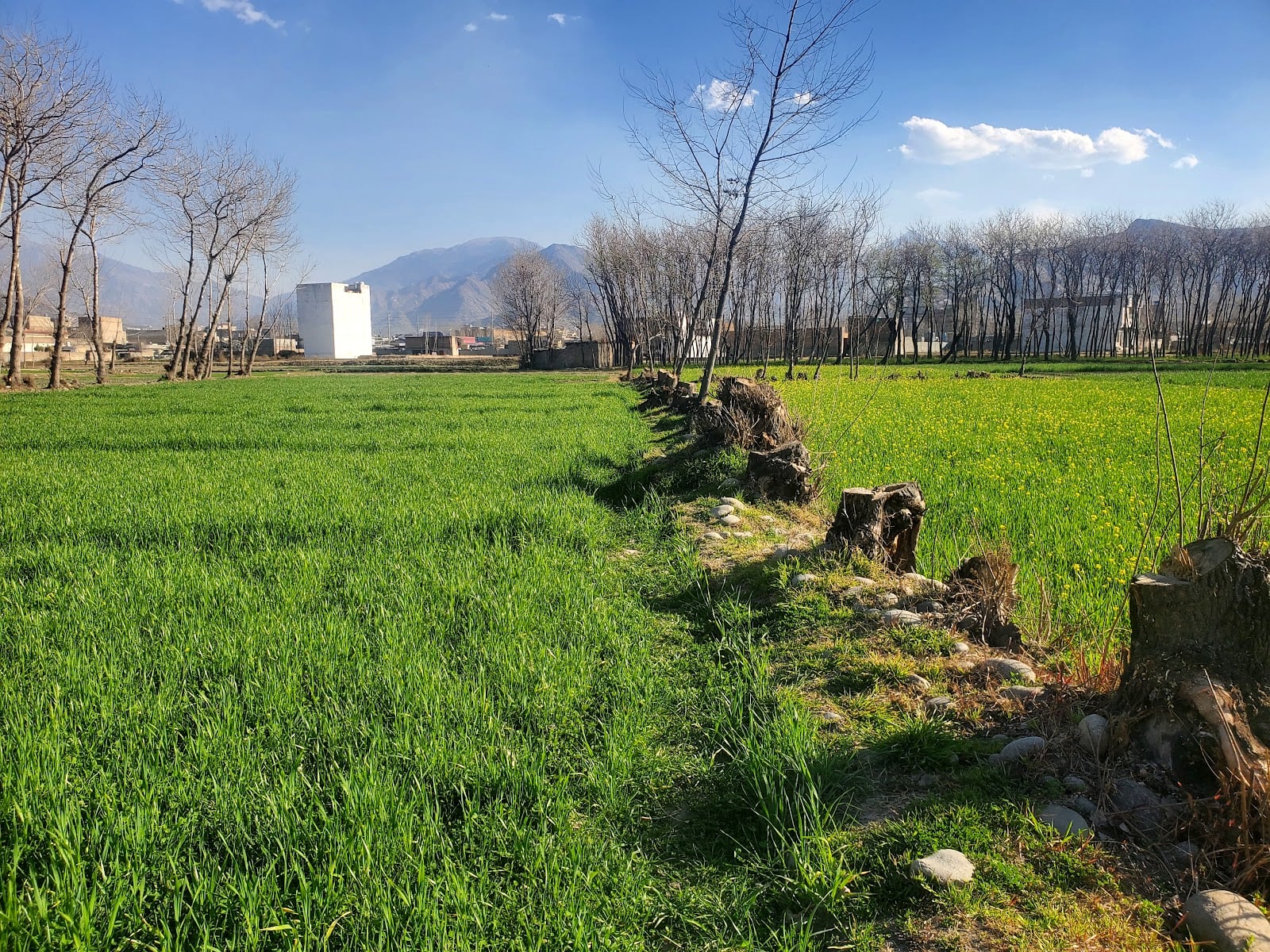 Mingora City photo 3