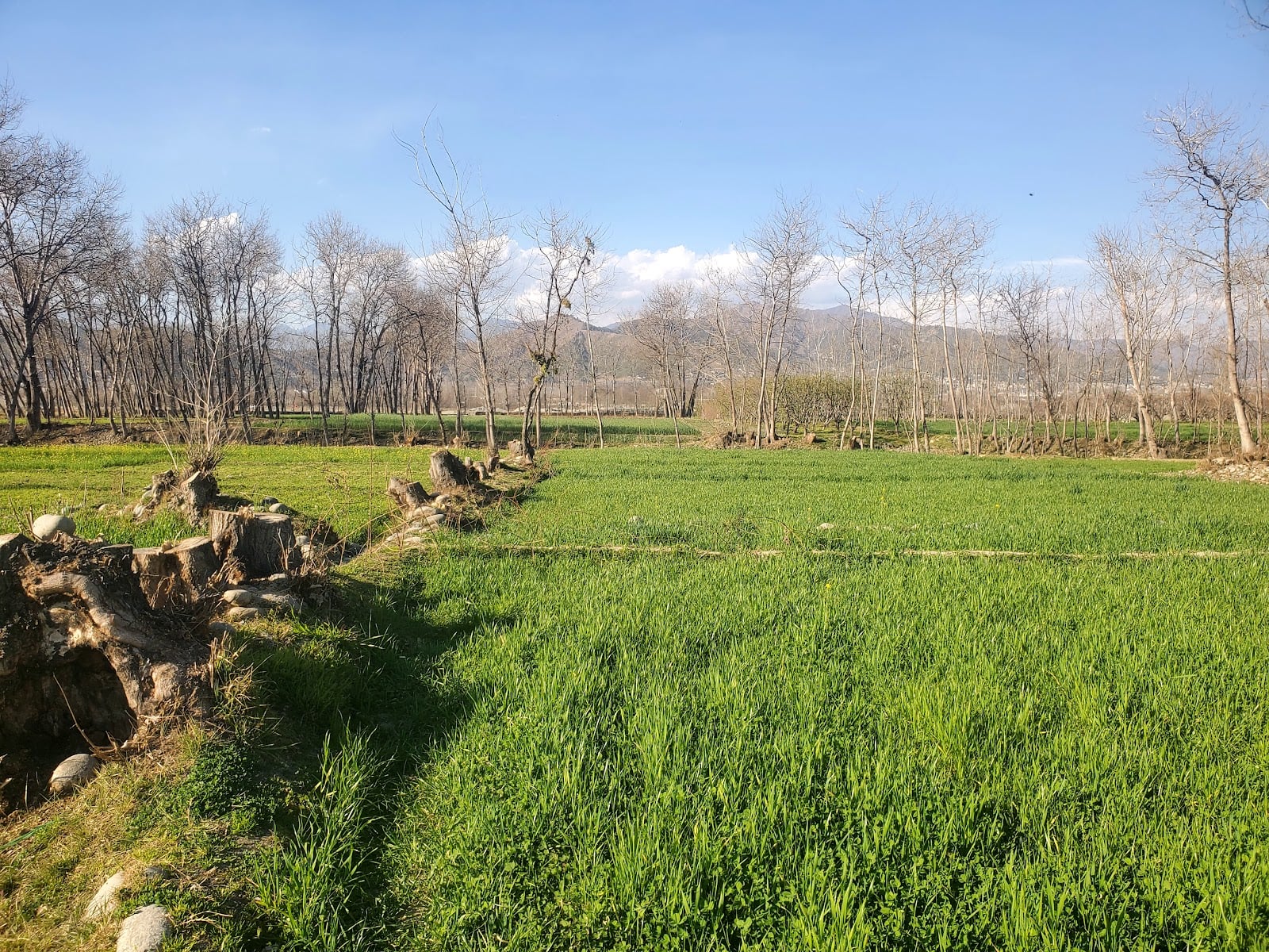 Mingora City photo 4