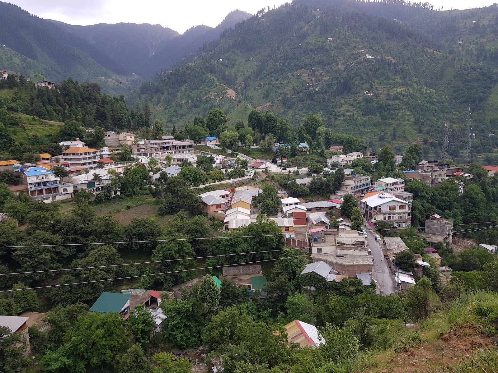 Naimat Tea and Dry Fruit Store photo 2