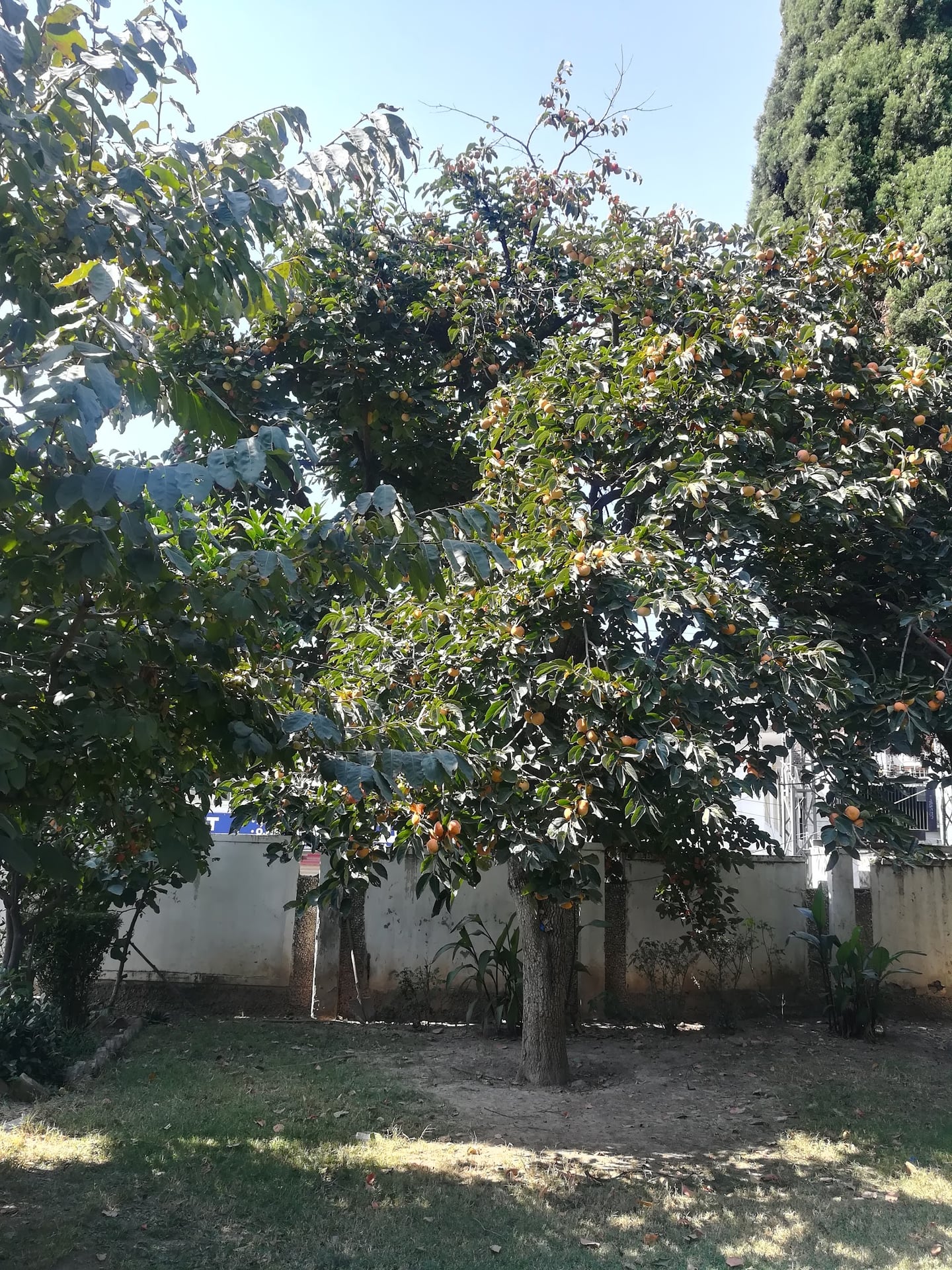 PTCL Rest House Saidu Sharif photo 5