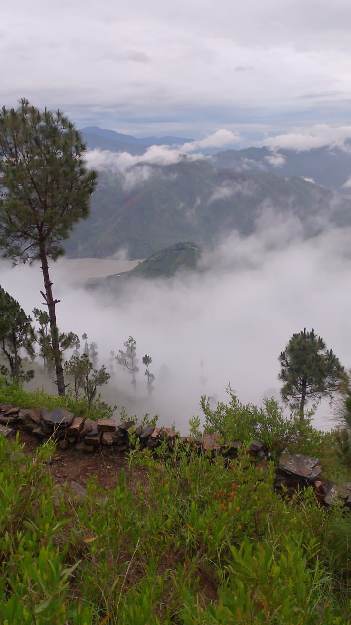 Shangla Top photo 3