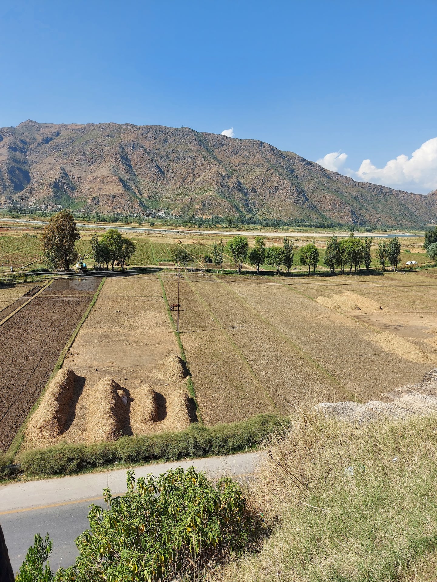 Shingardar Stupa, Swat photo 4