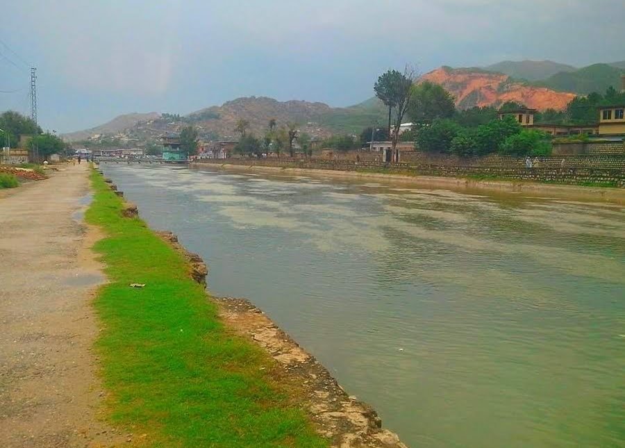 Totakan Adda photo 4