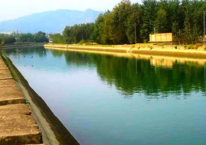 Totakan Adda photo 5