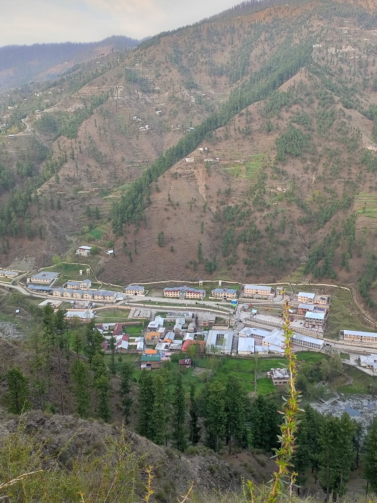 University Of Shangla photo 3