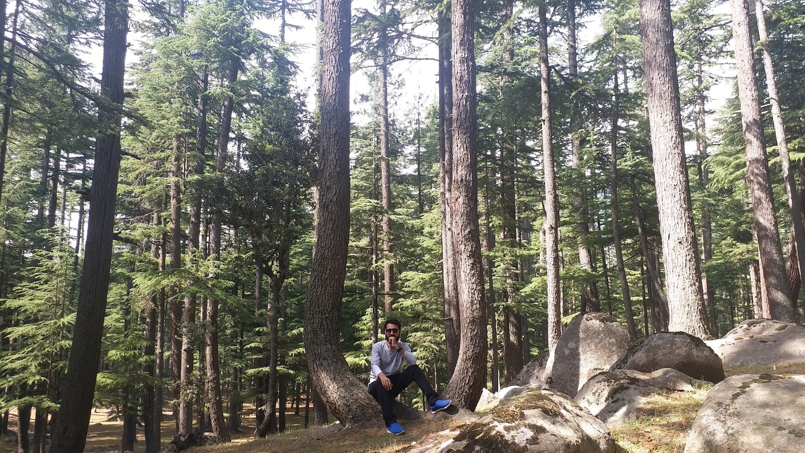 Usho Forest (Plain Forest) photo 5
